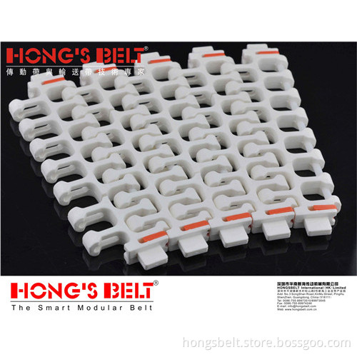 Curved Food Grade Modular Conveyor Belt (HS-300B-PLUS)